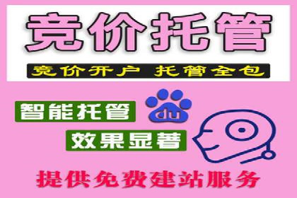 关键词竞价排名的优化技巧与成功案例分享